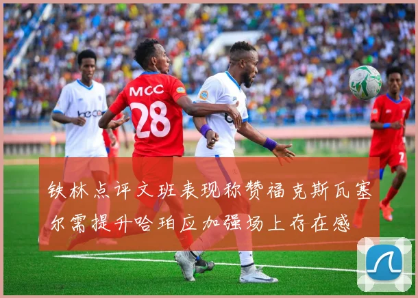 铁林点评文班表现称赞福克斯瓦塞尔需提升哈珀应加强场上存在感